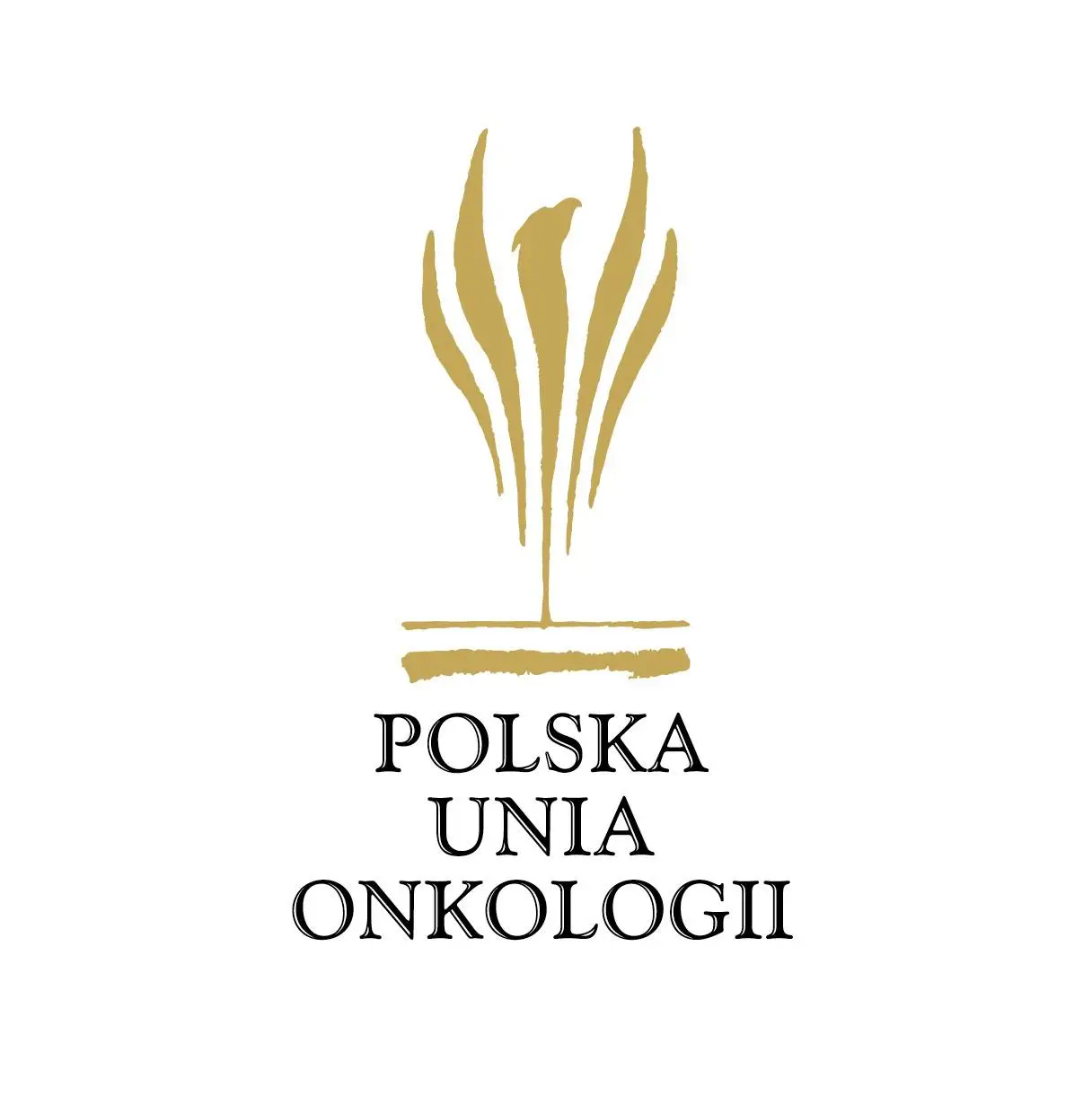 307714051_454555056709875_1490500756229337979_n